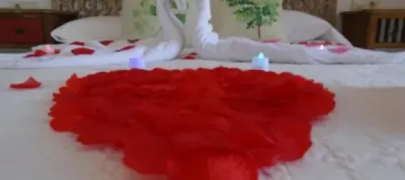 18 chambres Maison à Calpe, Spain No. 176941 21