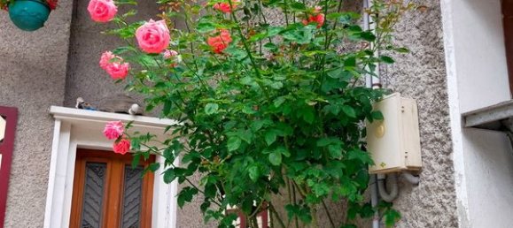 4 غرف نوم تاون هاوس في Magland, France رقم 204573 14