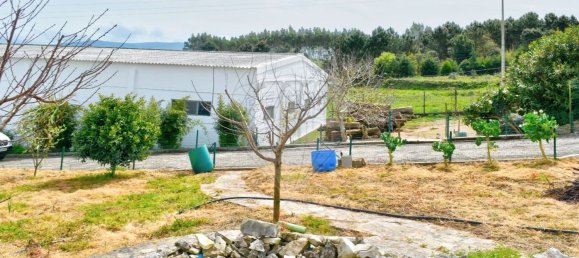 5 غرف نوم منزل في Bombarral, Portugal رقم 24345 15