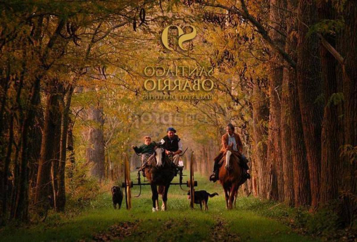 Grundstück in Buenos Aires, Argentina, Nr. 120169