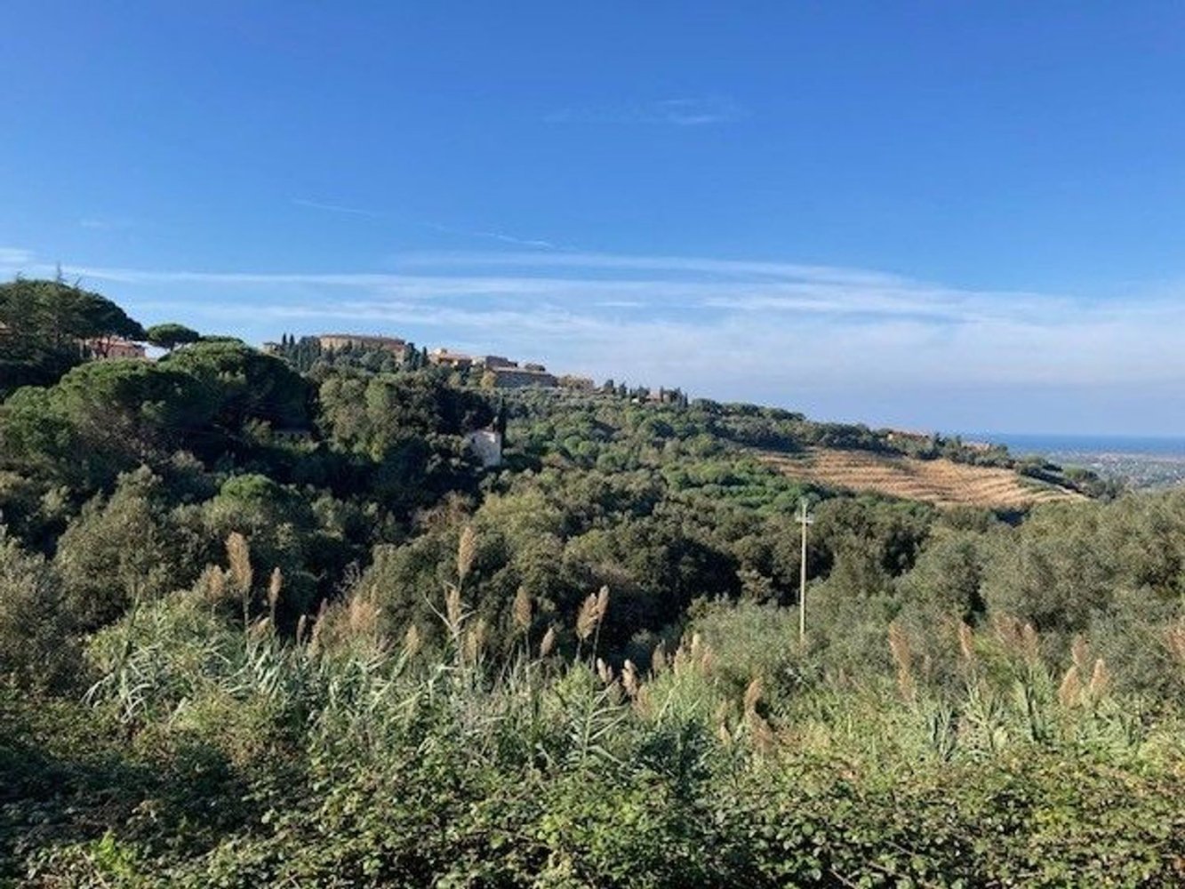 6 bedrooms House in Castagneto Carducci, Italy No. 345679