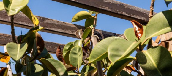 Penthouse T2 em Sants-Montjuic, Spain N.º 135979 21