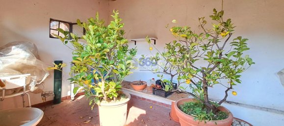 4غرفة فيلا في Passirano, Italy رقم 32169 38