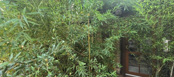 9 Schlafzimmer Haus in Frankfurt am Main, Germany, Nr. 66235 62