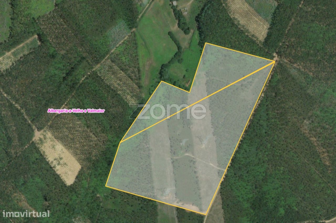 44600m² Land in Albergaria a Velha, Portugal No. 69220