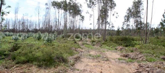 44600m² Land in Albergaria a Velha, Portugal No. 69220 11