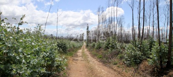 44600m² Land in Albergaria a Velha, Portugal No. 69220 9