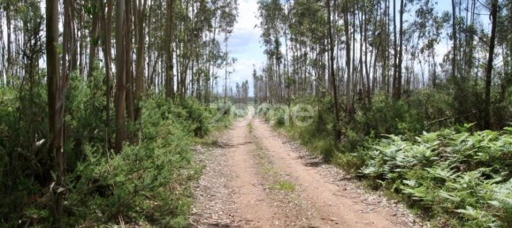 44600m² Land in Albergaria a Velha, Portugal No. 69220 14