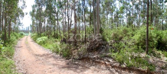 44600m² Land in Albergaria a Velha, Portugal No. 69220 3