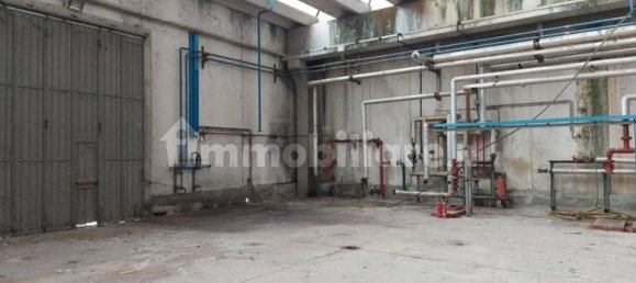 Lagerhaus in Isola Dovarese, Italy 16066m², Nr. 318235 7