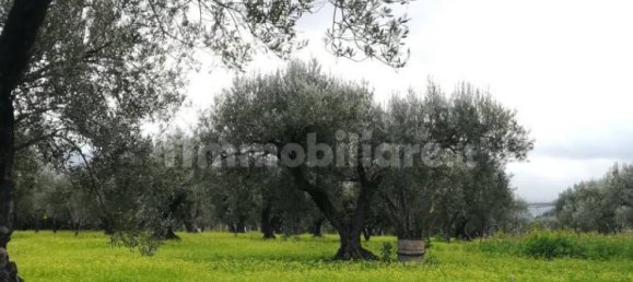 Terrain à Acquedolci, Italy 8450m² No. 335110 2