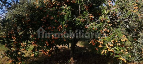 Terrain à Acquedolci, Italy 8450m² No. 335110 6