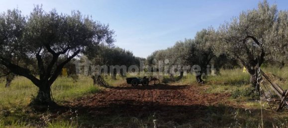 Terrain à Acquedolci, Italy 8450m² No. 335110 7