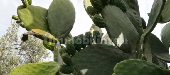 Terrain à Acquedolci, Italy 8450m² No. 335110 12