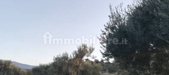 Terrain à Acquedolci, Italy 8450m² No. 335110 4