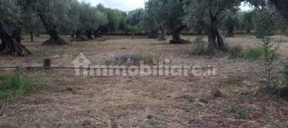 Terrain à Acquedolci, Italy 8450m² No. 335110 11