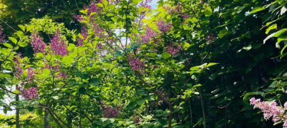 3 Schlafzimmer Wohnung in Frankfurt am Main, Germany, Nr. 270629 8