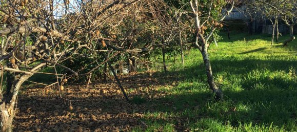 5 غرف نوم منزل في Salamonde, Portugal رقم 41519 3