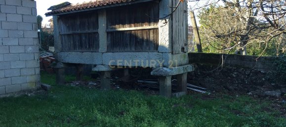 5 غرف نوم منزل في Salamonde, Portugal رقم 41519 4