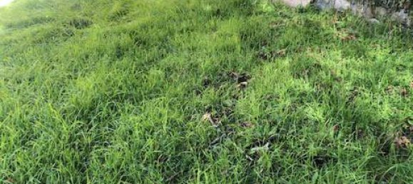 2 bedrooms Apartment in Varese Ligure, Italy No. 218098 9