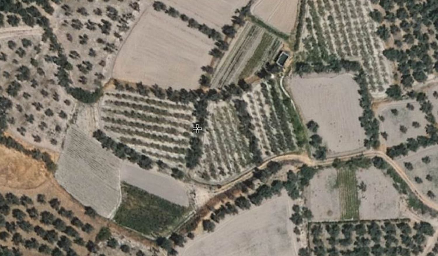  Land in Caniles, Spain No. 159099