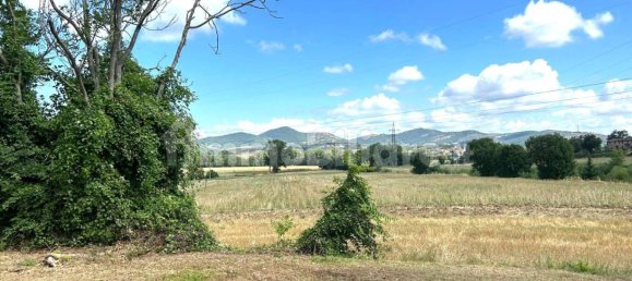 5 bedrooms House in Piegaro, Italy No. 84727 35