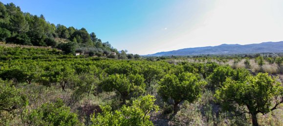 Terreno em Sagra, Spain N.º 93906 2