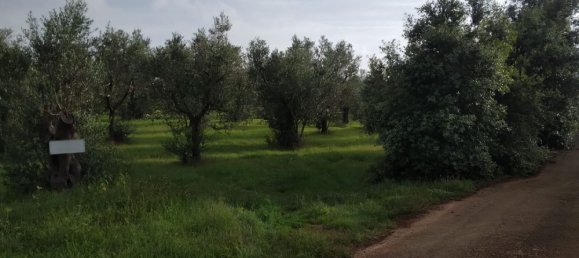 Земельный участок 4300м² в Minervino di Lecce, Италия № 255188 5