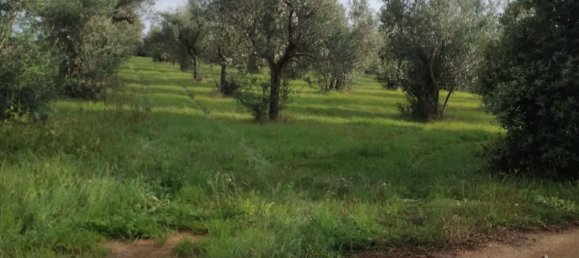 Земельный участок 4300м² в Minervino di Lecce, Италия № 255188 2