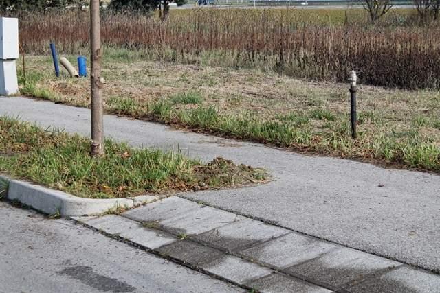 772m² Land in Forlì, Italy No. 149446