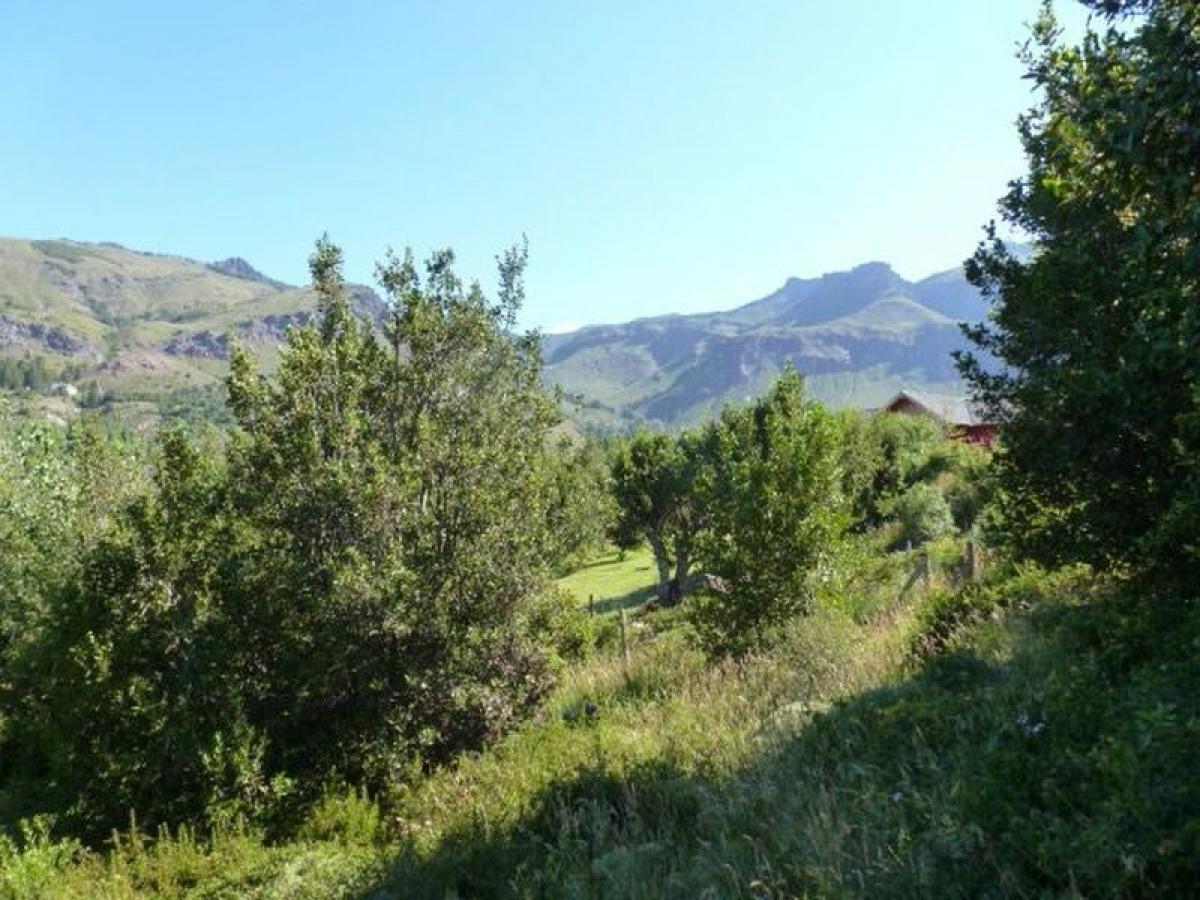  Land in Neuquen, Argentina No. 45185