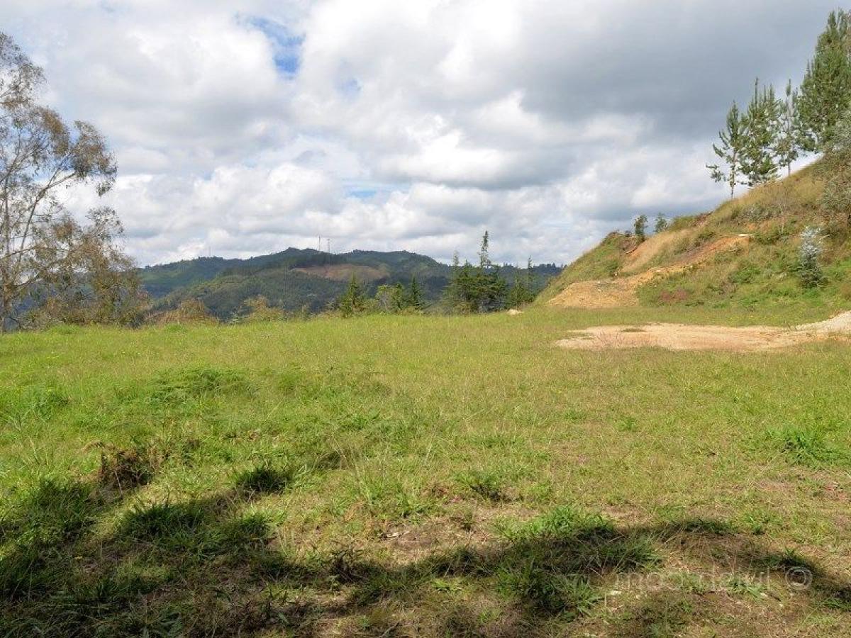 Terrain à Antioquia, Colombia No. 559