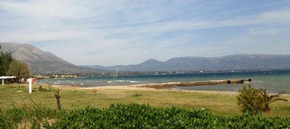 3900m² Townhouse in Euboea, Greece No. 6735 2