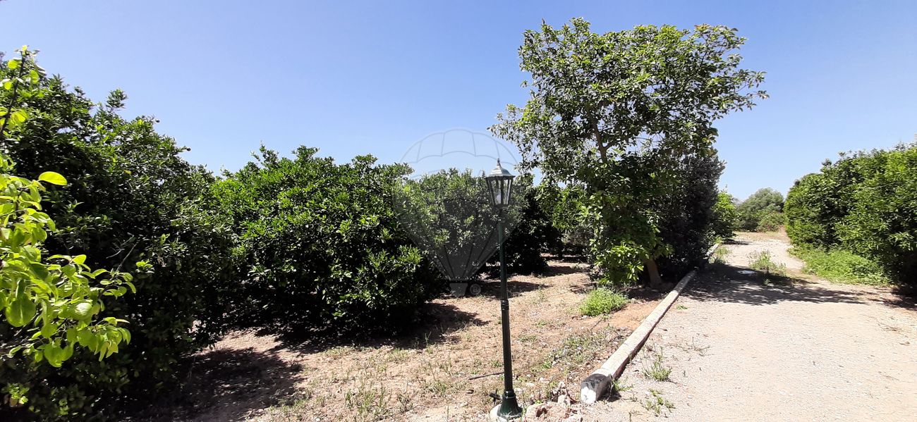 Дом с 3 спальнями в Ольян, Португалия № 27689