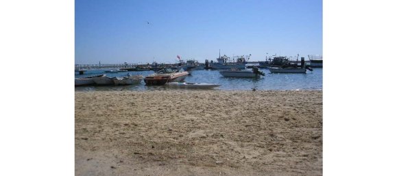 11395m² Land in Tavira, Portugal No. 71474 14