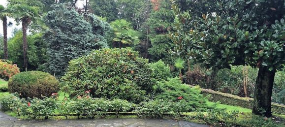 3 rooms Apartment in Baveno, Italy No. 41214 4