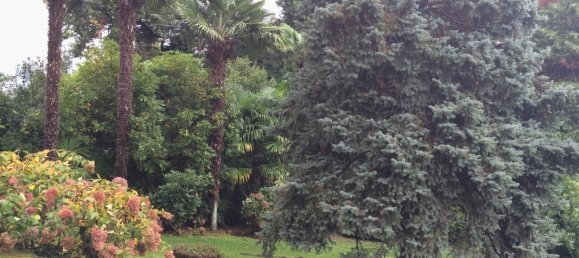 3 rooms Apartment in Baveno, Italy No. 41214 5