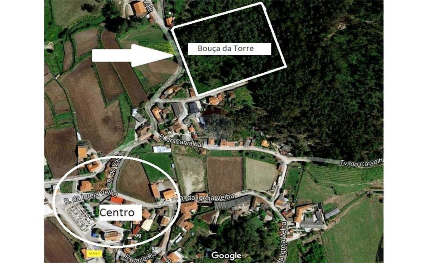  قطعة أرض في Barcelos, Portugal 22600متر مربع رقم 36454