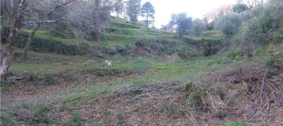  قطعة أرض في Barcelos, Portugal 22600متر مربع رقم 36454 3