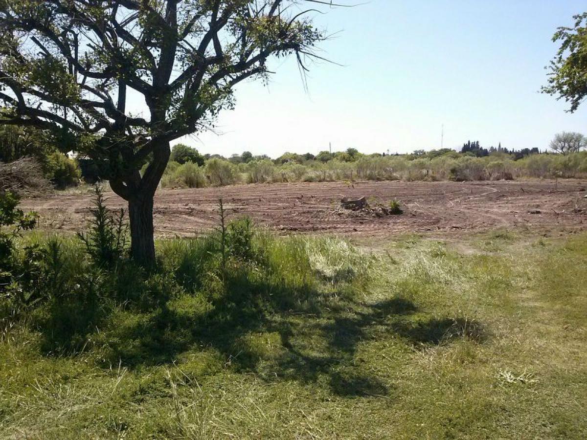  Land in Entre Rios, Argentina No. 48909