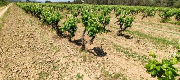 12 bedrooms House in Torrelavit, Spain No. 109180 22