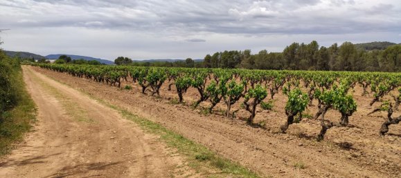 12 bedrooms House in Torrelavit, Spain No. 109180 26