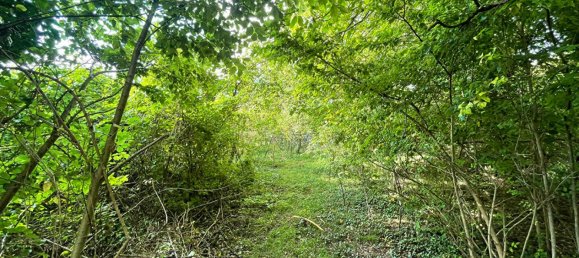 1 bedroom House in Venizy, France No. 195753 20