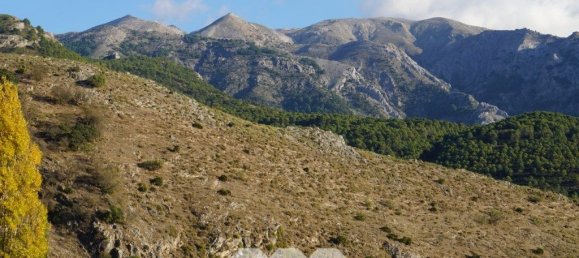 4 Schlafzimmer Haus in Alcaucin, Spain, Nr. 45142 30