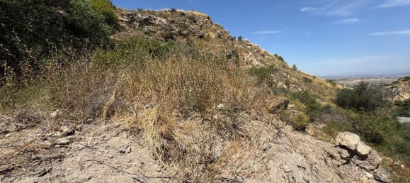  Land in Mojacar, Spain No. 158845 11
