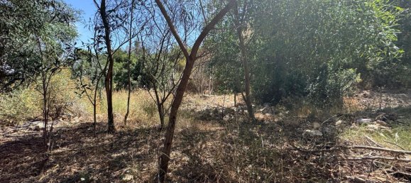  Land in Mojacar, Spain No. 158845 8