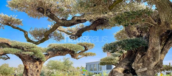 2 bedrooms Apartment in KETURAH RESERVE, Mohammed Bin Rashid City, UAE No. 59974 5