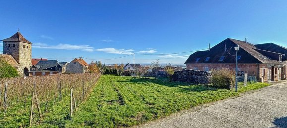  قطعة أرض في Dambach-la-Ville, France 684متر مربع رقم 51344 3