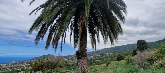  قطعة أرض في La Palma, Spain رقم 157390 12