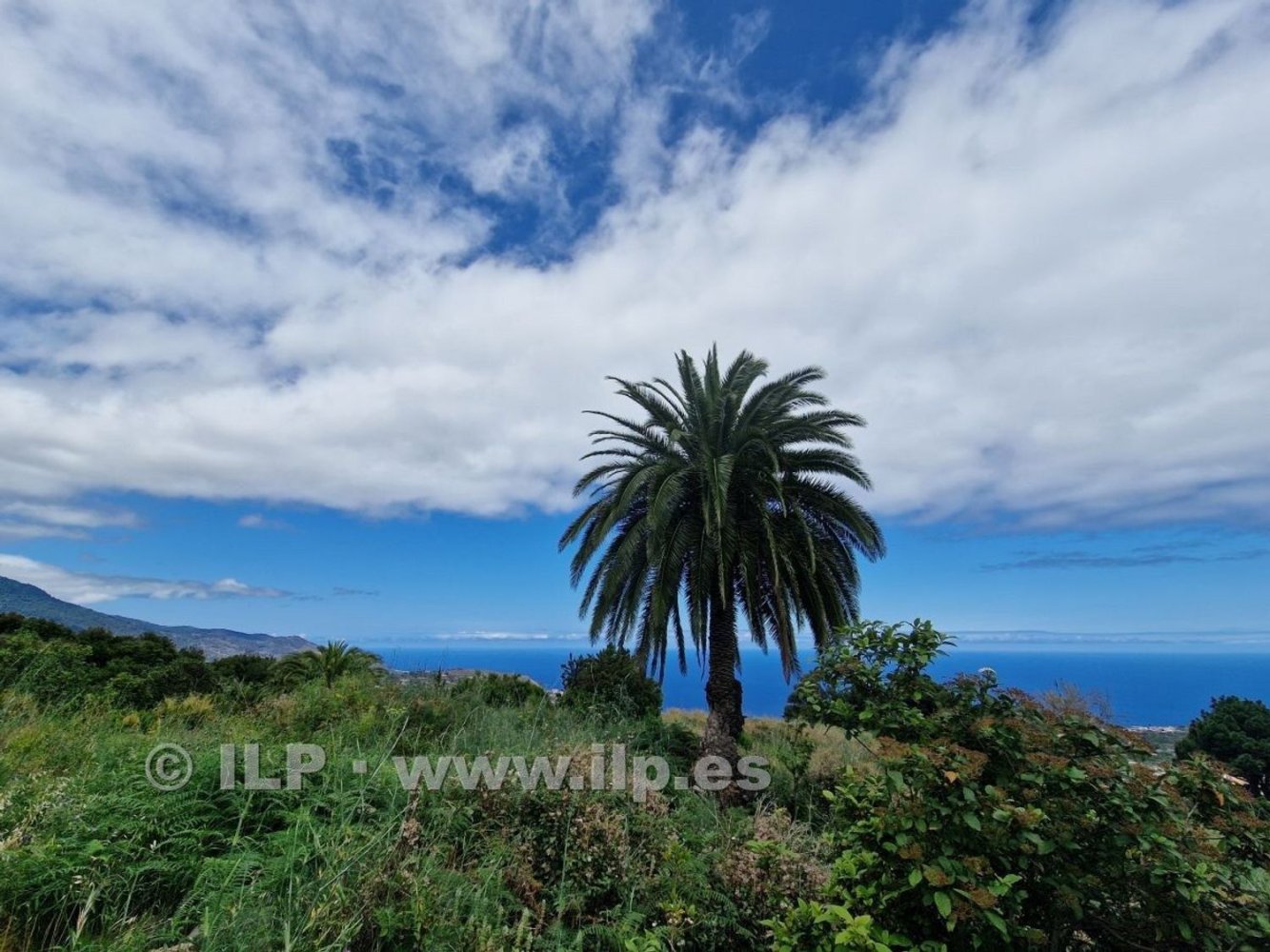  قطعة أرض في La Palma, Spain رقم 157390